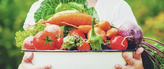 Einphasen-Zweischenkeltransformator 6000VA 230V/10V U45